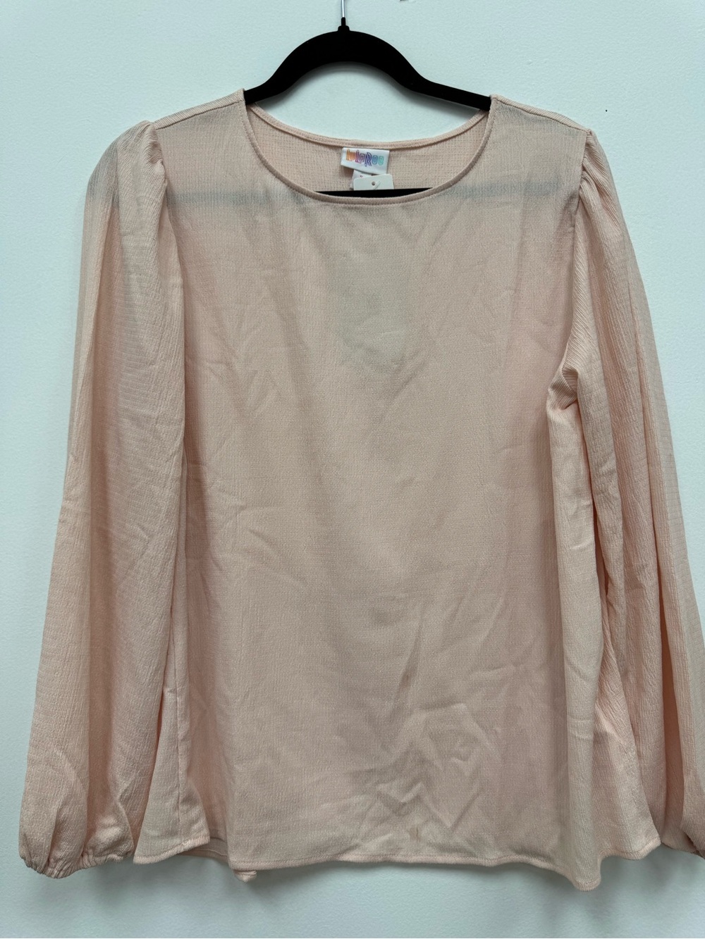 Sheer Long-Sleeve Blouse in Light Blush Pink vivian